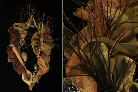 Elegant Insects